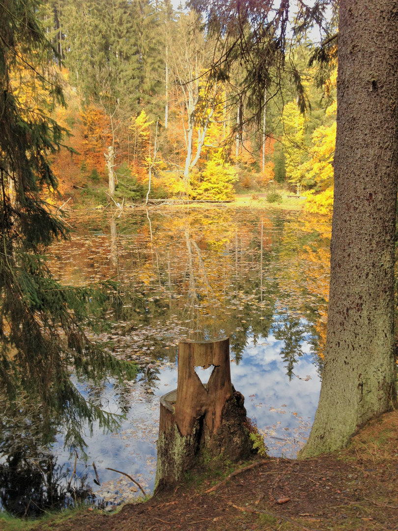 Knöpfelstaler Teich für Verliebte