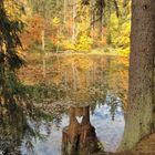 Knöpfelstaler Teich für Verliebte