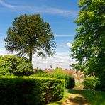 Knole Park II