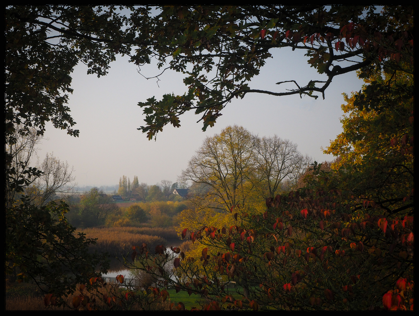 Knoops Park im Herbst