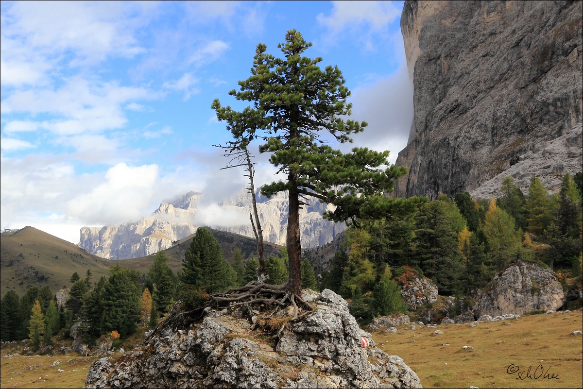 knorrig Foto & Bild europe, italy, vatican city, s marino, italy