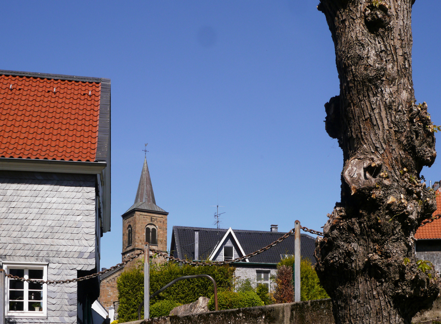 Knorriger Baum in der Ortschaft Düssel.