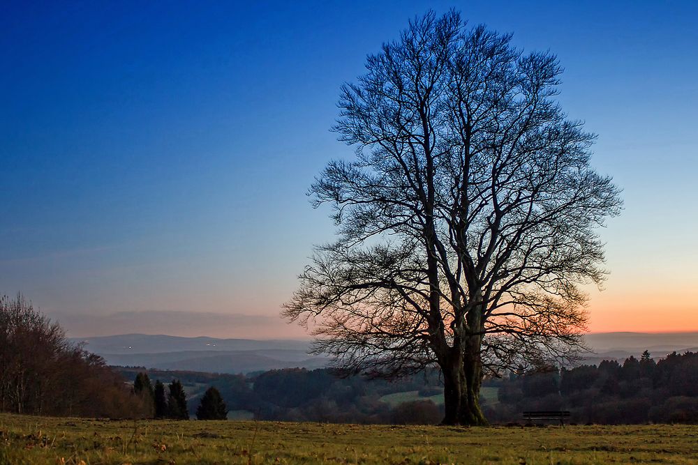 Knotenblick