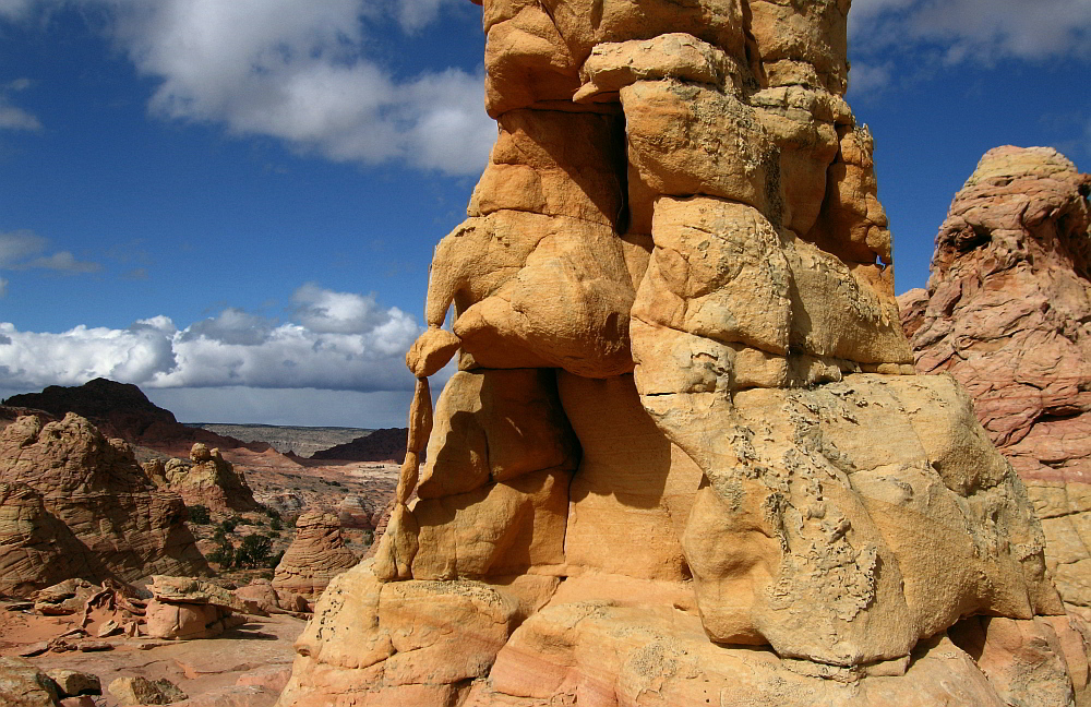 Knotted Rock