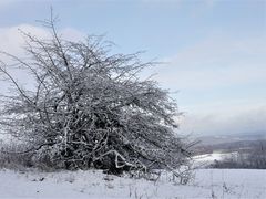 Knüll-Spaziergang