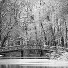 Knüppelbrücke am Bagnosee