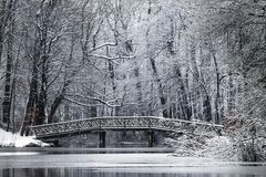 Knüppelbrücke am Bagnosee ( Farbe)