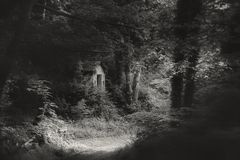 ... knusper knusper ...