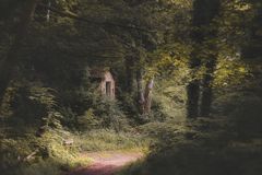 ... knusper .knusper ...