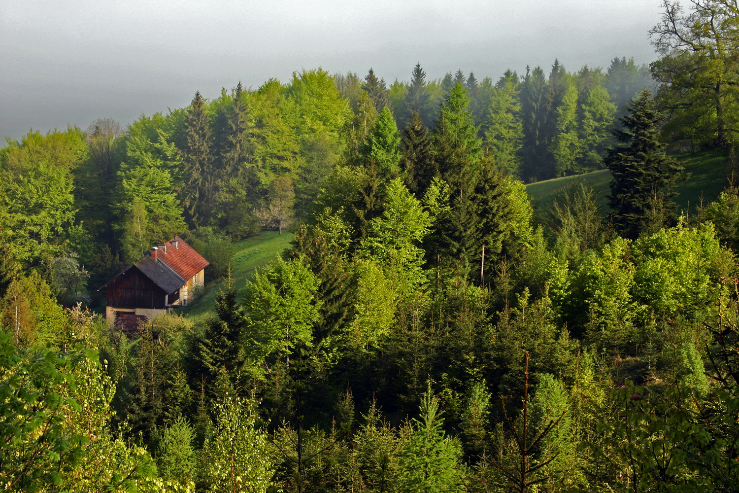 Knusperhäuschen in Farbe