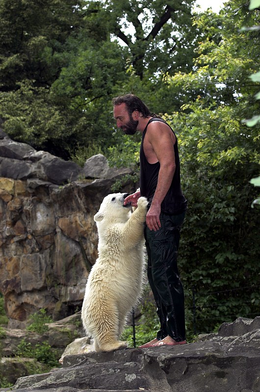 Knut 3