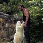 Knut 3