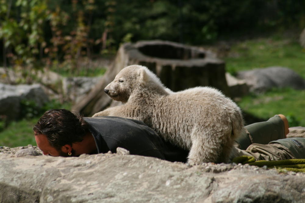 knut gehts gut (2)