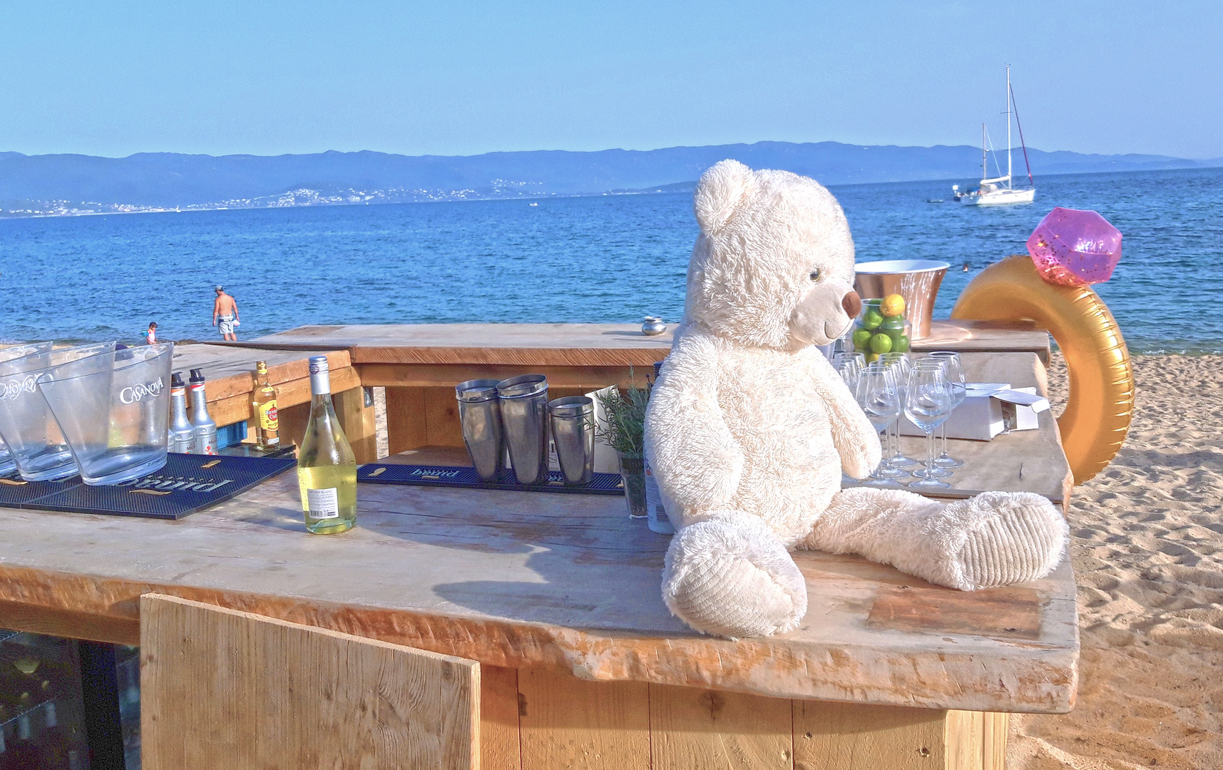 Knut genießt den Klimawandel am Strand von Ajaccio