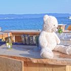 Knut genießt den Klimawandel am Strand von Ajaccio