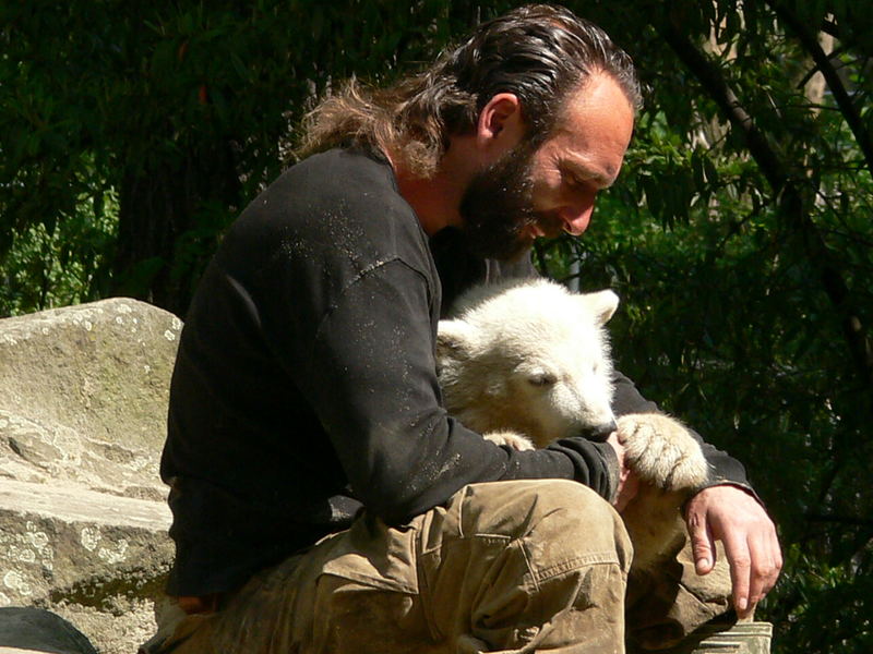 Knut heute Mittag