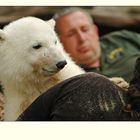 Knut I