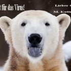 Knut und das Virus