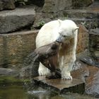 Knut und sein Jutesack