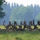 Knutenborg Safaripark auf Lolland in Dänemark