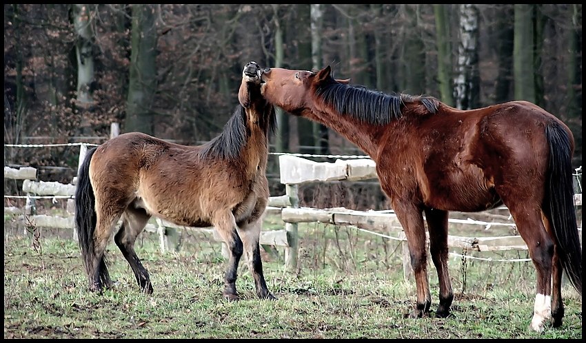 knutsch mich !!!