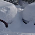 Knutschen im Schnee - Winter in Münster 2021