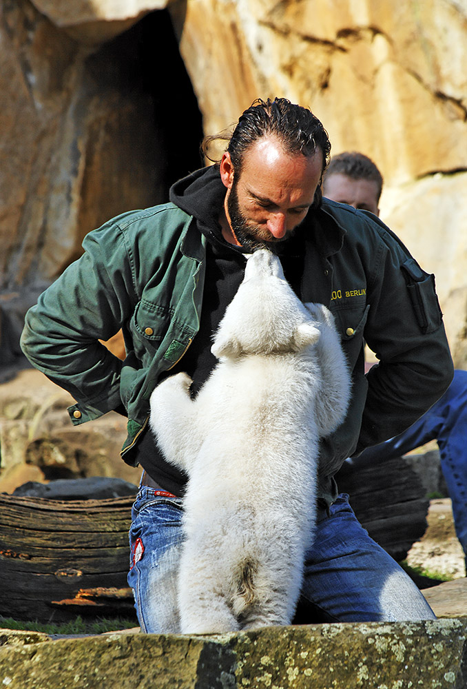 Knutschen mit Knut ...