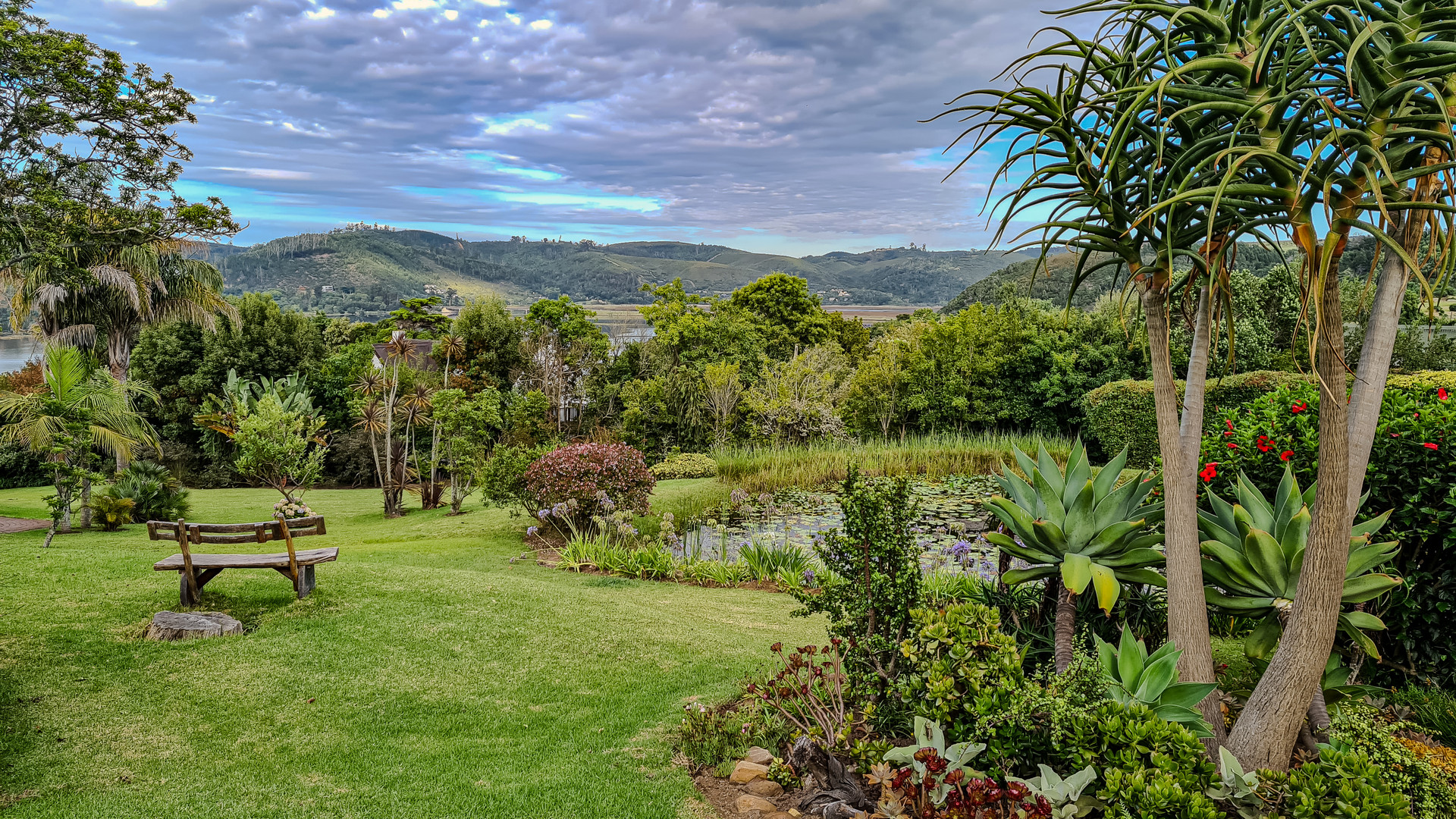 Knysna