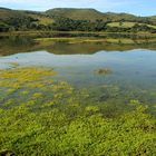 Knysna Lagoon