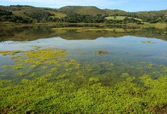 Knysna Lagoon