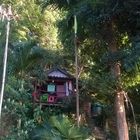 Ko Chang treehouse
