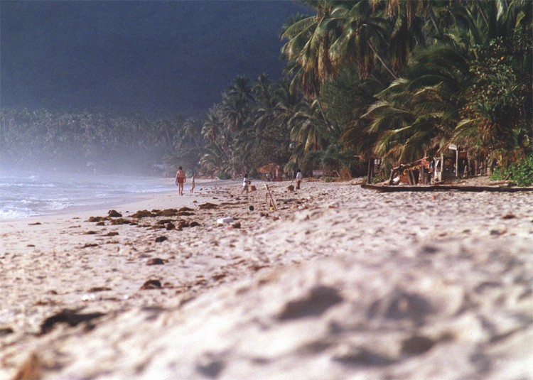 Ko Samui aus Sicht des Strandkäfers