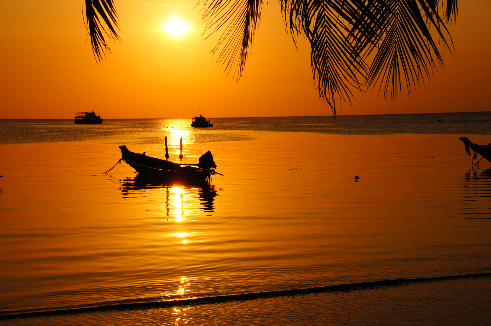 ko tao