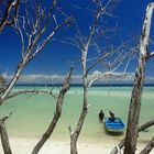 Ko Tao Beach