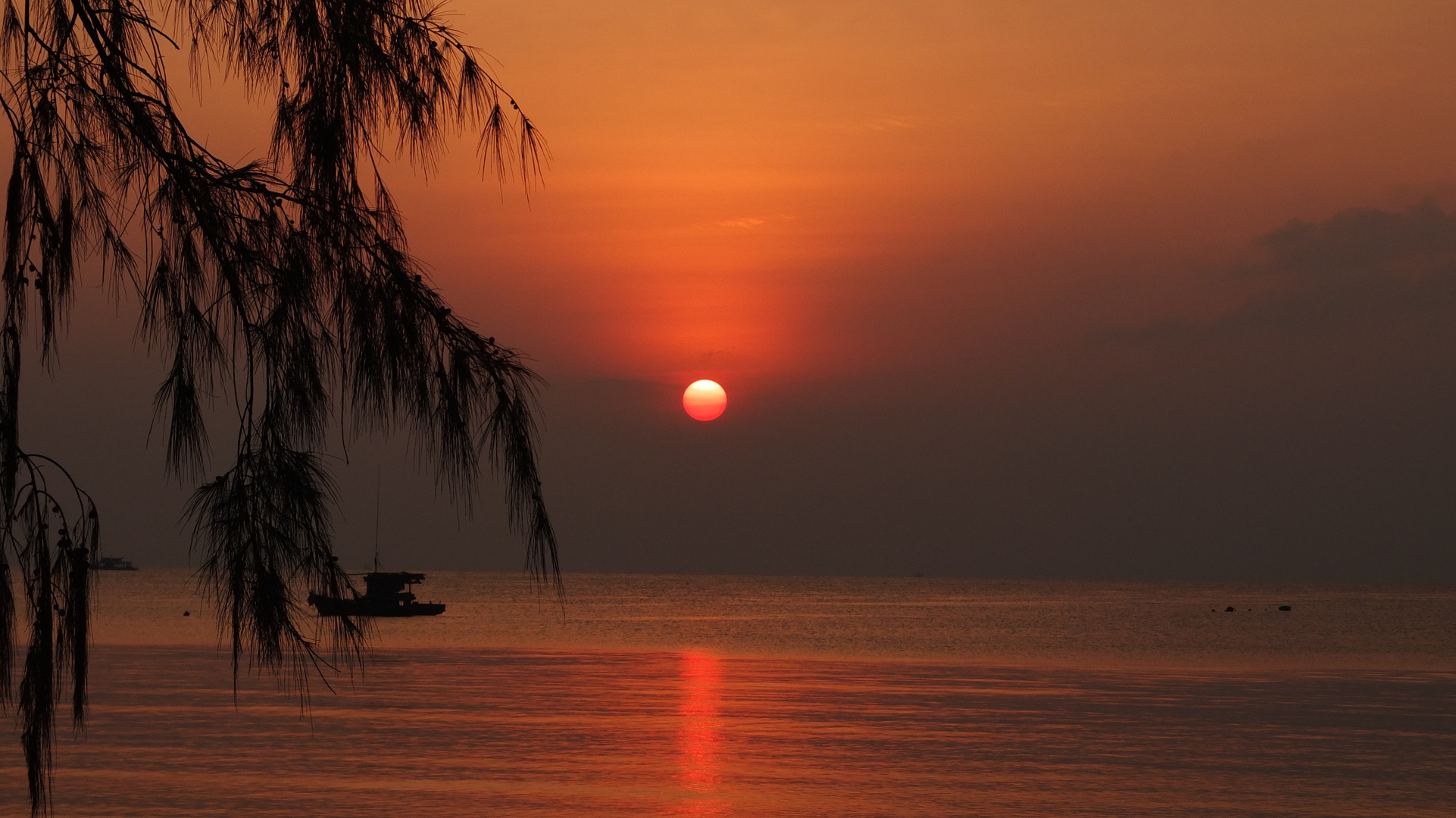 Ko Tao Sun