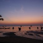 Ko Tao`s Wasserspiele