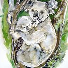 Koala und Baby