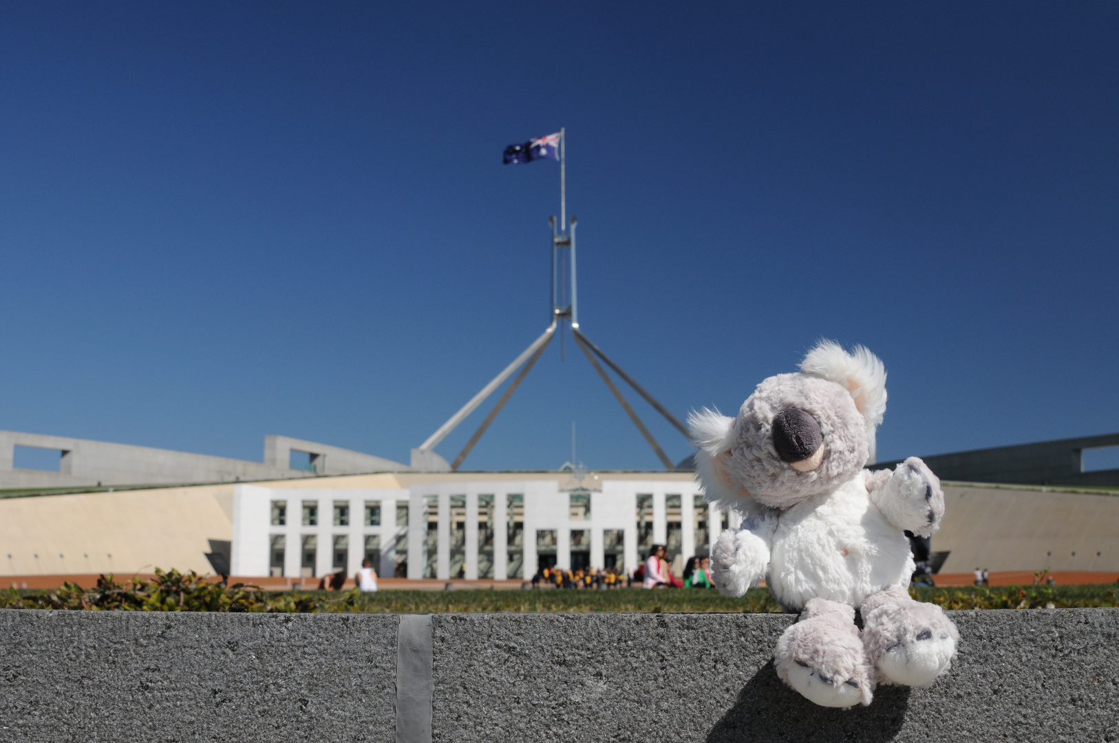 Koala vor dem Parliament House