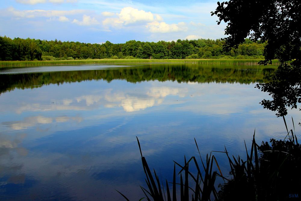 Kobanteich bei Dubrauke / Baruth