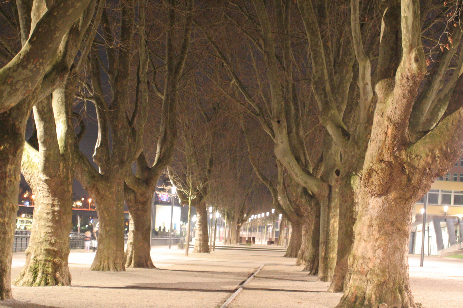 Koblenz bei Nacht