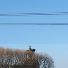 Koblenz Deutsches Eck mit Seilbahn