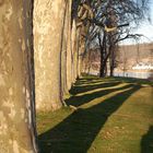 Koblenz - Kaiserin Augusta Anlagen am Rhein