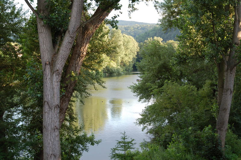 Koblenz - Rheinlaache