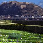 Koblenz, von den Kroküsschen zur Festung