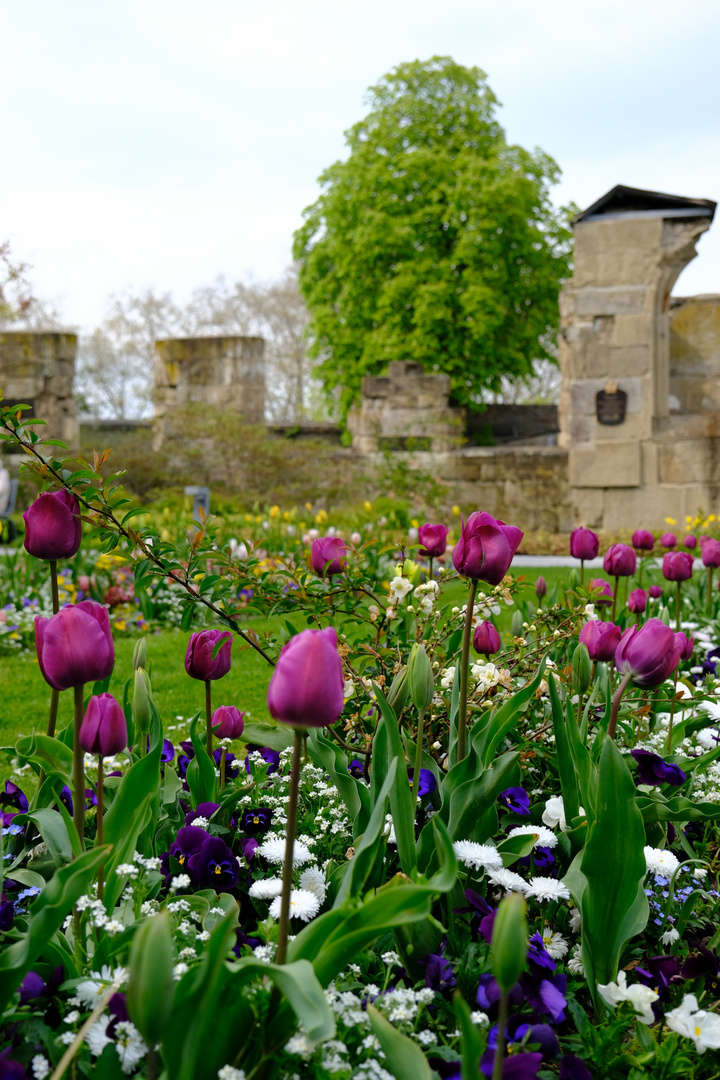 Koblenzer Blumenhof (7)