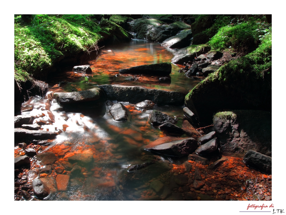 ° Koboldbach im Feenwald °