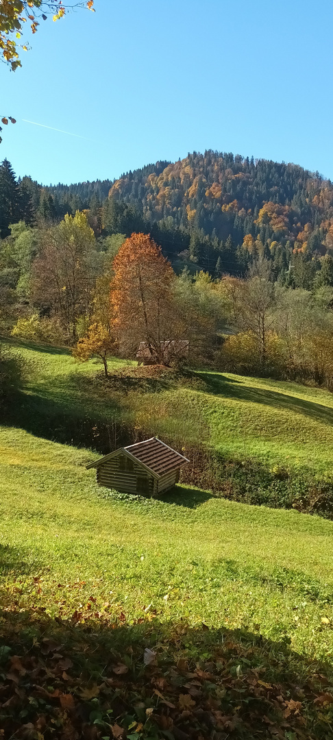 Kochelberg Alm Garmisch Partenkirchen 