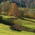 Kochelberg Alm Garmisch Partenkirchen 