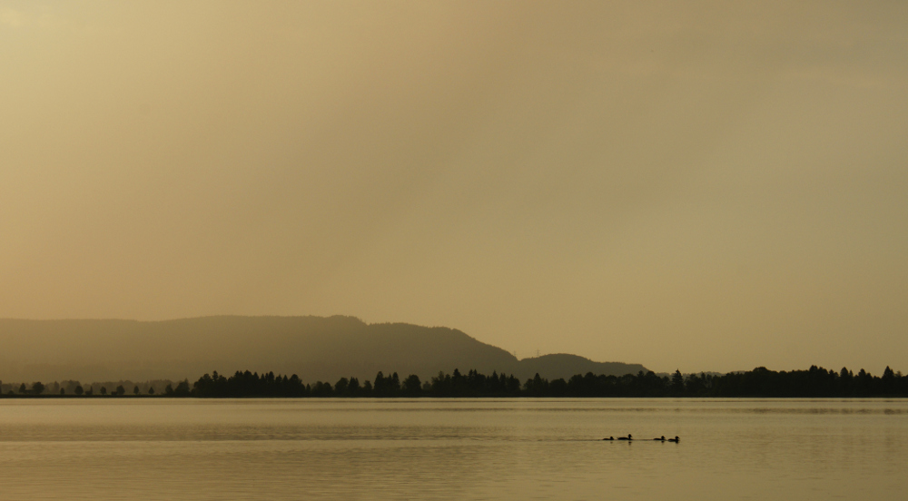 Kochelsee #01 - Abendstimmung