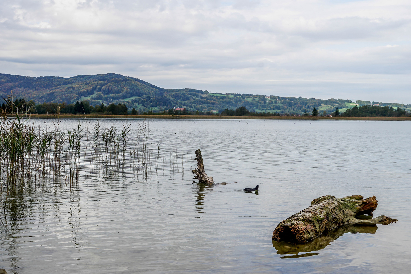 Kochelsee (1)